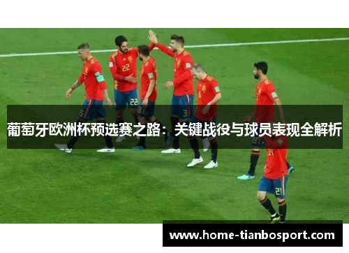 葡萄牙欧洲杯预选赛之路：关键战役与球员表现全解析